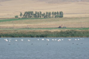 İpekyolu Foto bajar haber