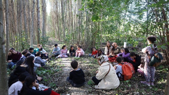 Amed çocuk