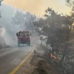 Muğla da yangın