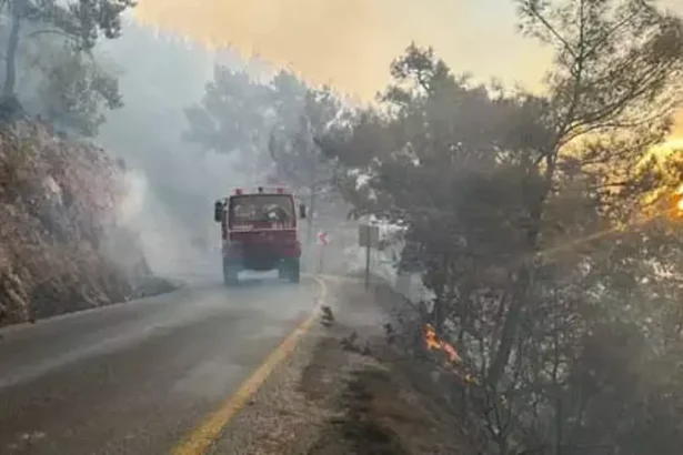 Muğla da yangın