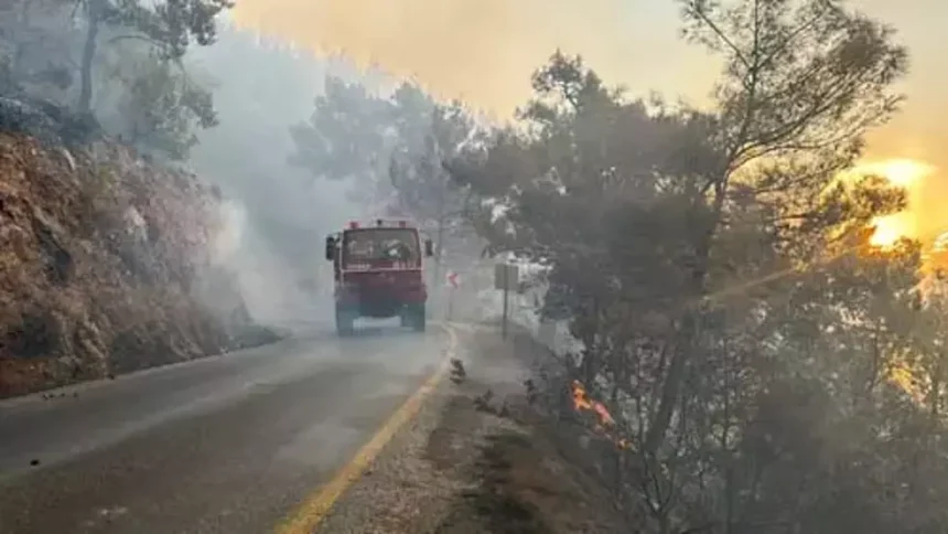 Muğla da yangın