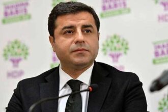 690x390cc ank 20 10 2024 demirtas ozele cagri metni verecek