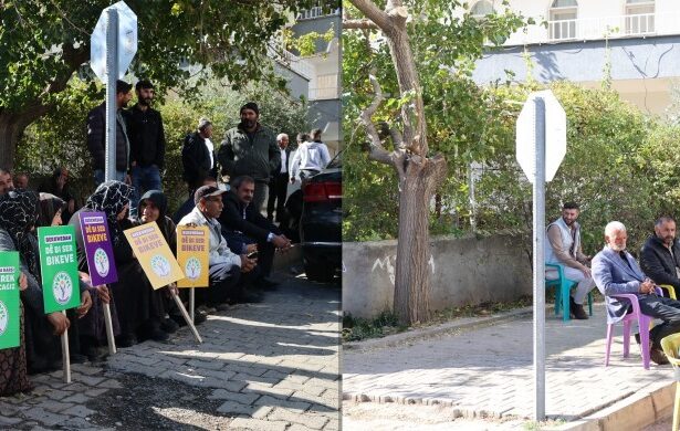 halfeti kayyum polis ağaç