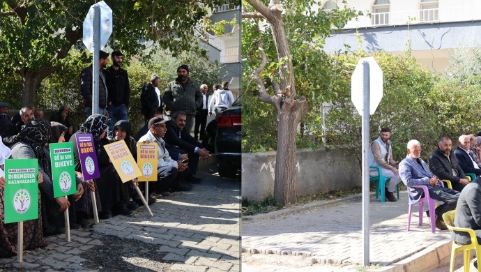 halfeti kayyum polis ağaç